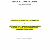 Diagnóstico ambiental Olopa